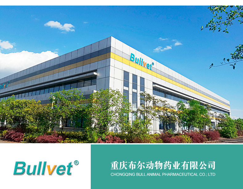 宠呋嘉详情页新品_06.jpg