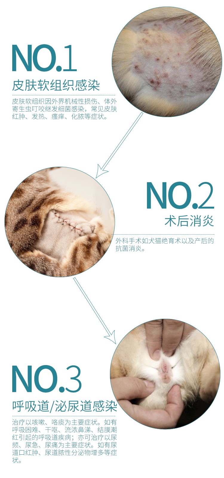 布塞夫详情页_02.jpg