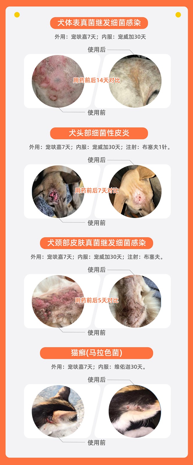 宠呋嘉案例.jpg