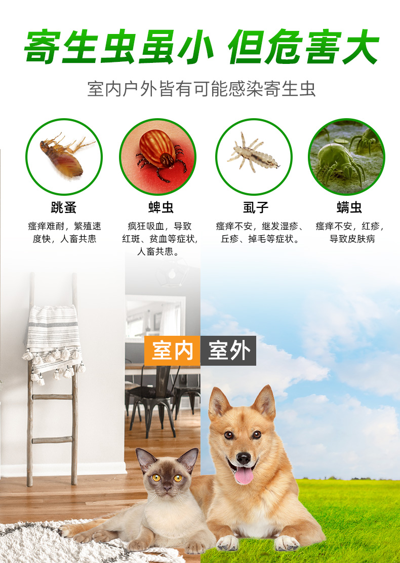 宝早安详情页1_03.jpg