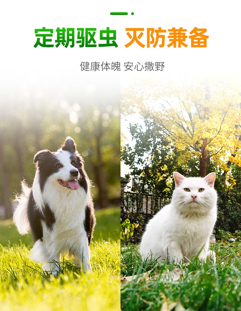 宝早安详情页1_07.jpg